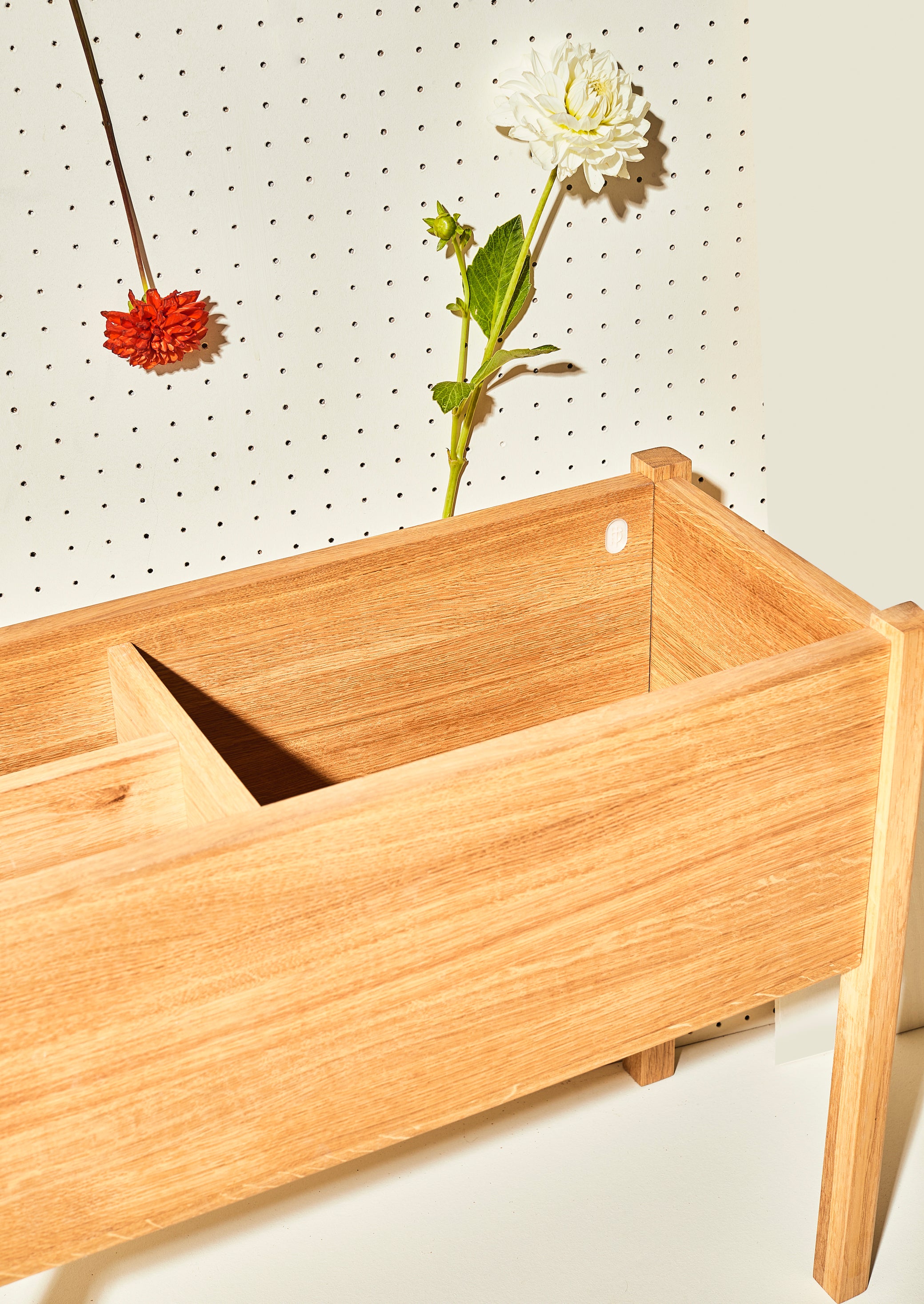 Plant & Book Stand